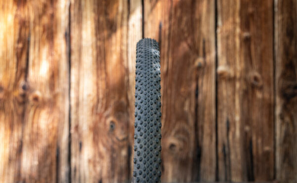 Continental Terra Trail TR -Skin Wall 700x40