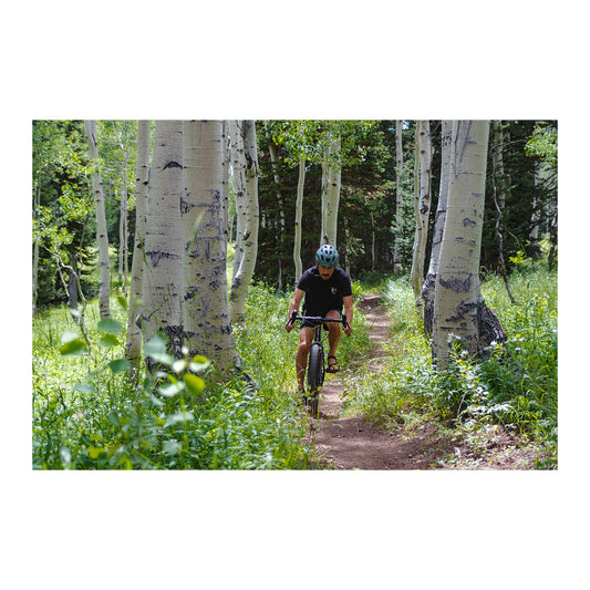 Assembly/Tuning for Pickup at Brea,CA Office (only)