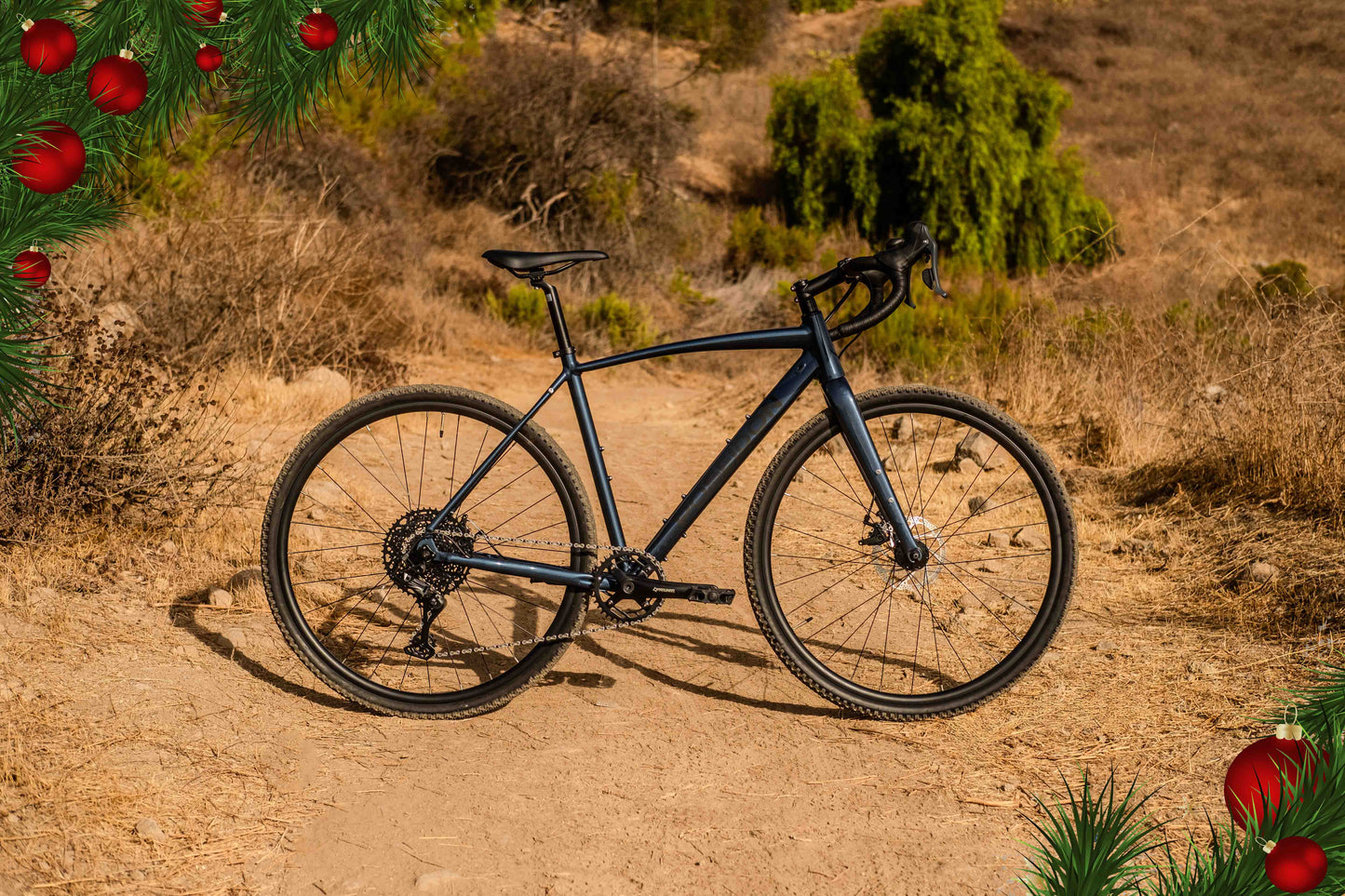 Demo Bikes (Last-Call)