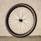 Teravail Circos Gravel Rear Wheel - 700 12 x 142mm Center-Lock HG 11 Carbon DT350