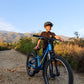The Sapling Kids Mountain Bike