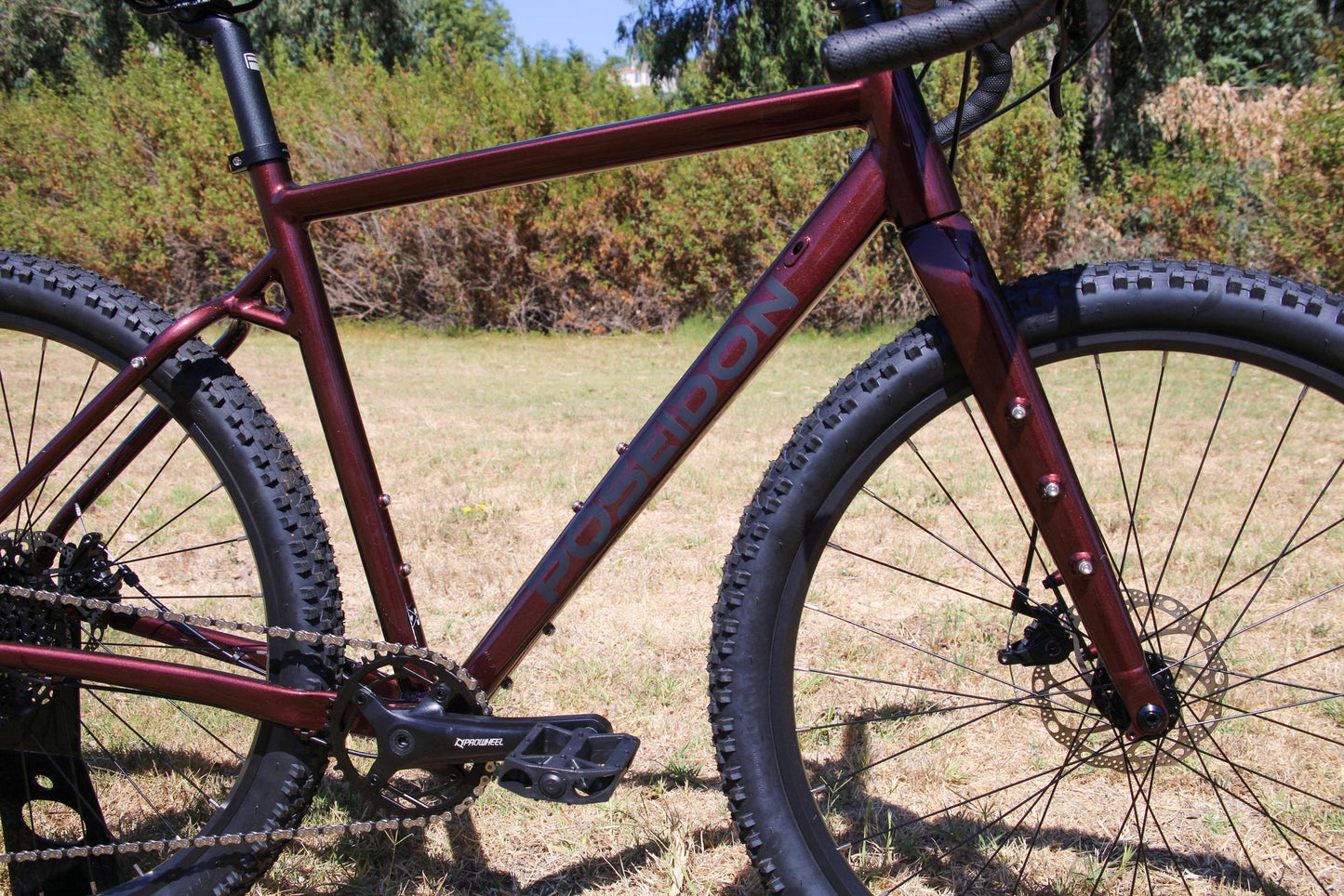 2021 poseidon redwood