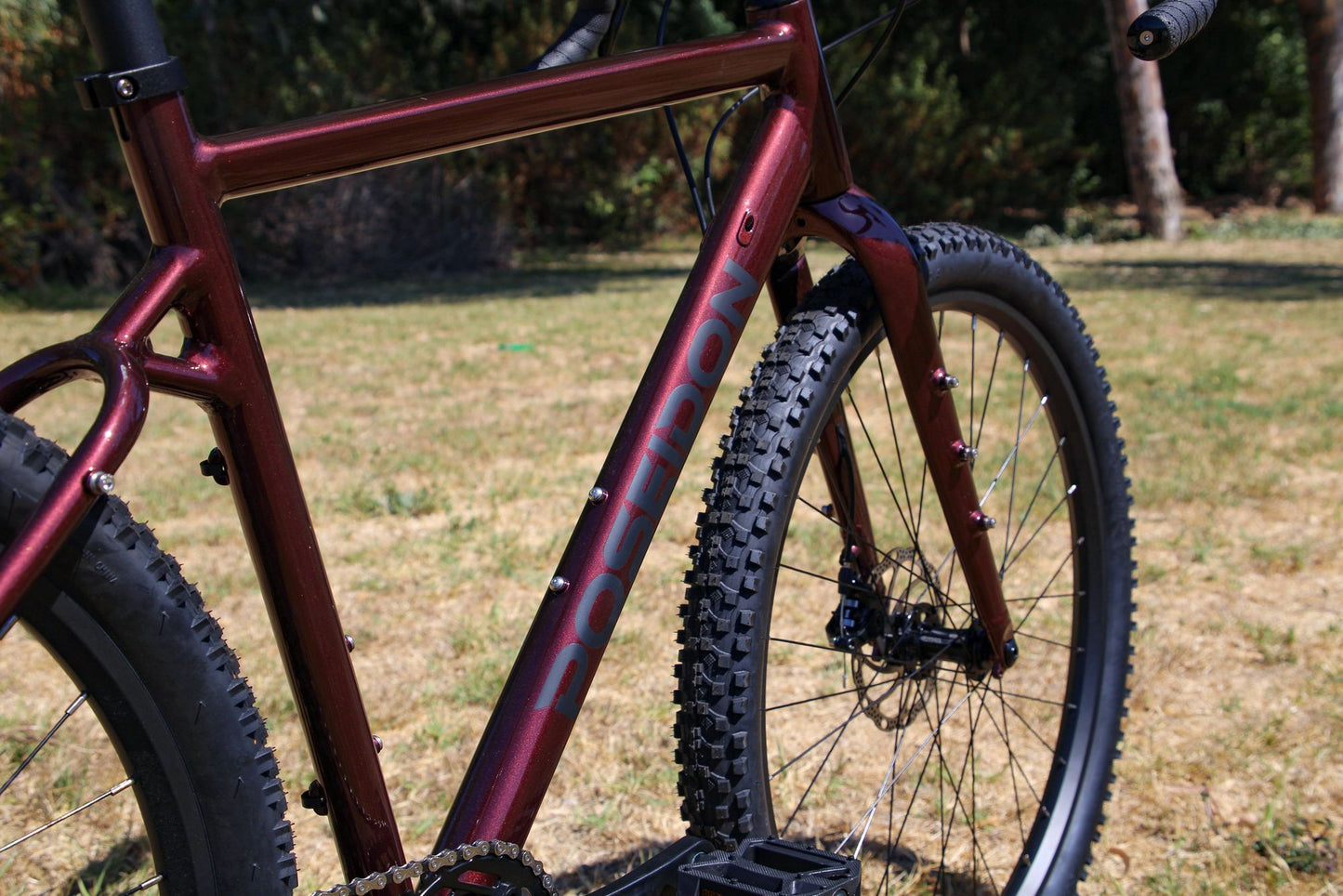 2021 poseidon redwood